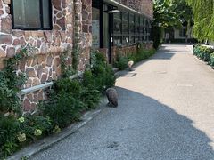 -J Create城市露营咖啡·简餐·宠物(上海动物园店)