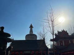-西塔