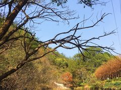 -木兰云雾山