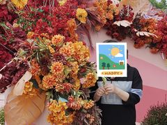-荷兰花海