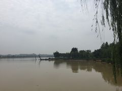 -鹤之洲湿地公园