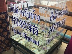 -东芭乐园