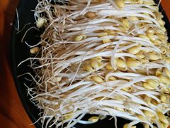 -独雅老火锅(原宏声巷店)
