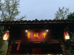 门面-青城甲(青城山店)