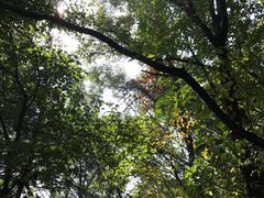 -沂蒙山旅游区云蒙景区(蒙山国家森林公园)