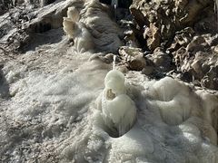 -少华山国家森林公园