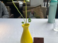 -野蔓果·山野菜(西湖景区·龙井茶田店)