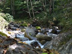 -云岫谷游猎自然风景区