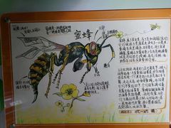 -上海昆虫博物馆