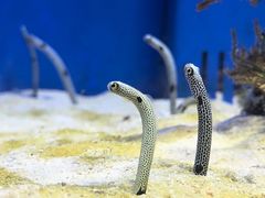 -多彩贵州城极地海洋世界