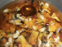 -雲蜀龙阁·金牌水煮鱼(方庄店)