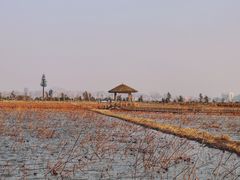 -漩门湾国家湿地公园