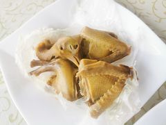 -百利鸽王(紫薇路店)