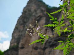 -龙门涧景区