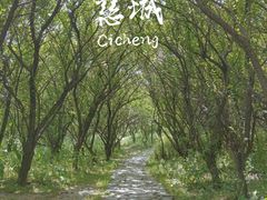 -慈城古县城景区
