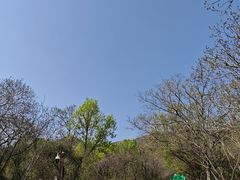 -圌山