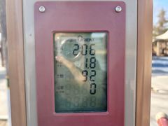 -大兴滨河森林公园