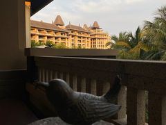 -海南清水湾莱佛士酒店