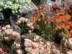 -循礼门鲜花花市(武汉循礼门店)