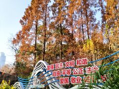 -徐家汇源景区-衡山公园