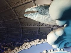 -烟台海昌鲸鲨海洋公园