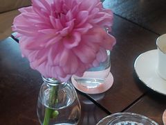 -JW酒廊 JW Lounge(上海鲁能JW万豪侯爵酒店)
