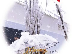 -Blue Concept Cafe&Farm·關於藍