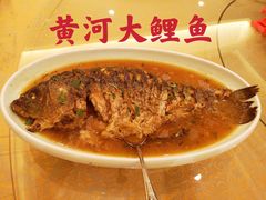 黄河大鲤鱼-商都酒店( 北京南站店)