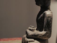 -普陀山雷迪森庄园
