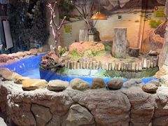 -正佳雨林生态植物园