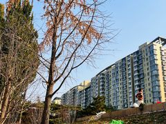 -元大都城垣遗址公园