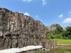 -海南热带野生动植物园