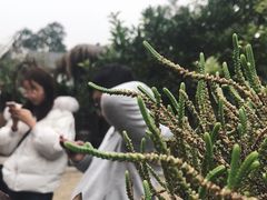 -悦哉·派对·草坪婚礼·围炉煮茶(三圣乡店)