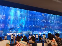 -成都浩海立方海洋公园