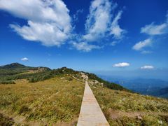 -白草畔自然风景区