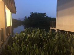 -太极禅苑