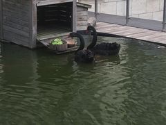 -行者书屋大堂吧 ·下午茶(南京圣和府邸酒店)