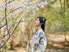 -群力丁香公园