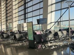 -郑州新郑国际机场-T2航站楼