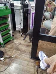 -青木造型HAIR·あおき髪を刈る潮人店
