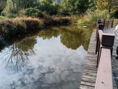 -长广溪湿地公园