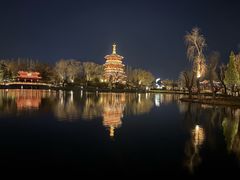 -金春禧(世茂国际广场店)