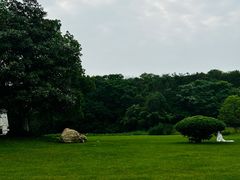 -艾溪湖湿地公园