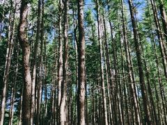 -塞罕坝国家级自然保护区