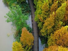 -桤木河湿地公园