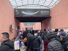 -中环花鸟鱼虫市场