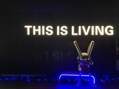 -顽啤熊·酒客酒馆(苏城夜景必选店)