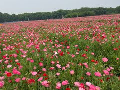 -江苏三台山国家森林公园