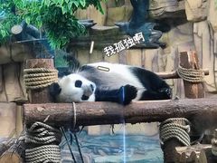 -泉州海丝野生动物世界