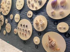 -中国（海南）南海博物馆